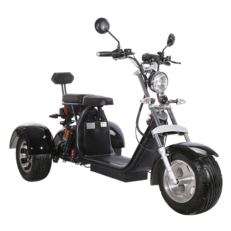 3 Wheels Electric Tricycle For Adult 25cm Wide Tire Double Seat Motorcycle Anti theft Disc Brake