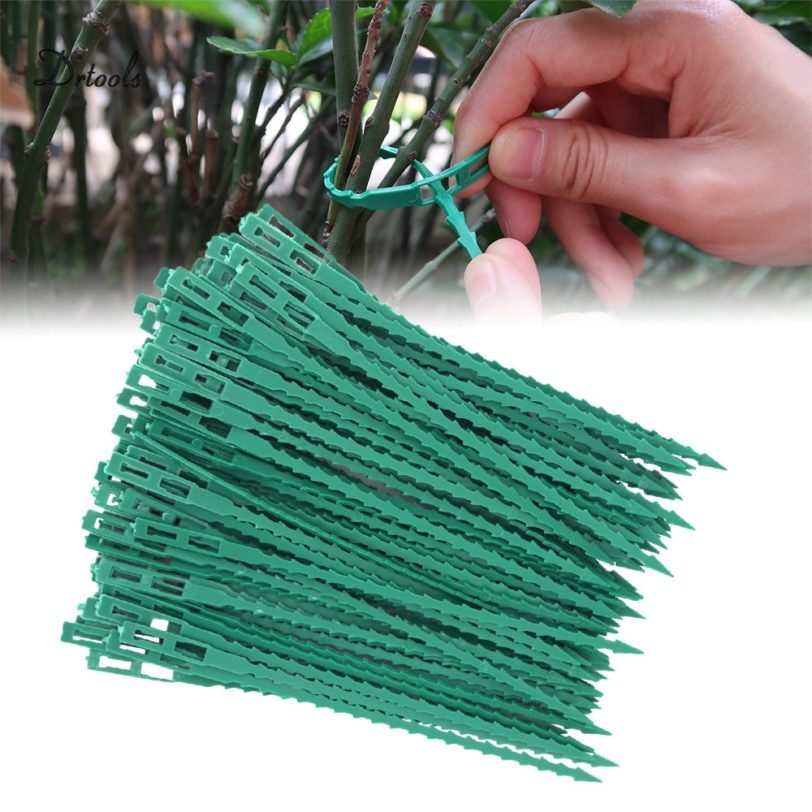 50/30 Pcs Fishbone AdjustableReusable Garden Plastic Plant Belt Ties Tie Garden Fishbone Band Tools Multi-Use For Secure Vine