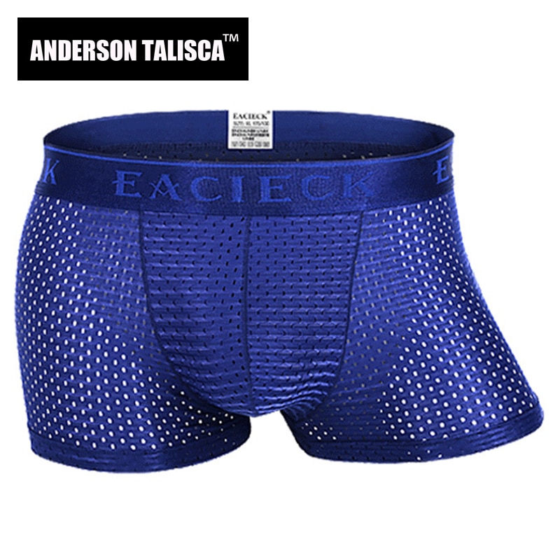 ANDERSON TALISCA Brand Silk Hollow New Mens Boxers Underwear Men Boxer Ropa Interio Man Penis Cueca