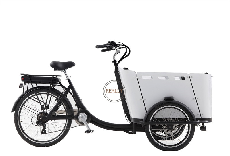 250W Motor Curved Wood Box Family cargo bike Adult Electric or Pedal 3 Wheels Tricycle
