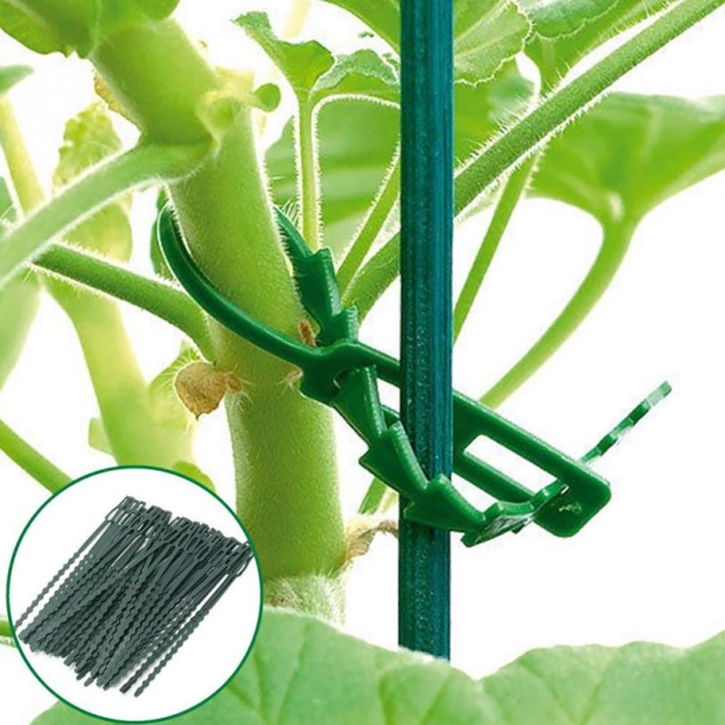 50/30 Pcs Fishbone AdjustableReusable Garden Plastic Plant Belt Ties Tie Garden Fishbone Band Tools Multi-Use For Secure Vine - Image 6