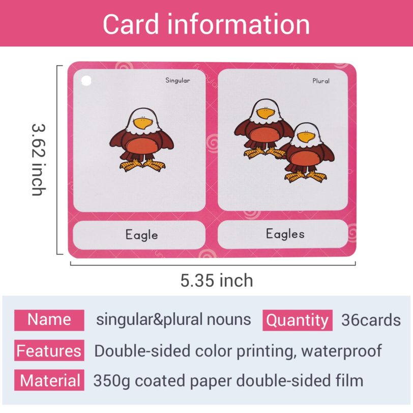 70 Groups Noun English Plurals Kids Montessori English Word Pocket FlashCards Game Learning Educational Toys For Children Games - Image 6