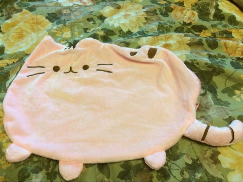 New Kawaii Plush Cat Pillow With Zipper Only Skin Without PP Cotton Biscuits Kids Toys Big Cushion Cover Gifts 40*30cm - Image 5